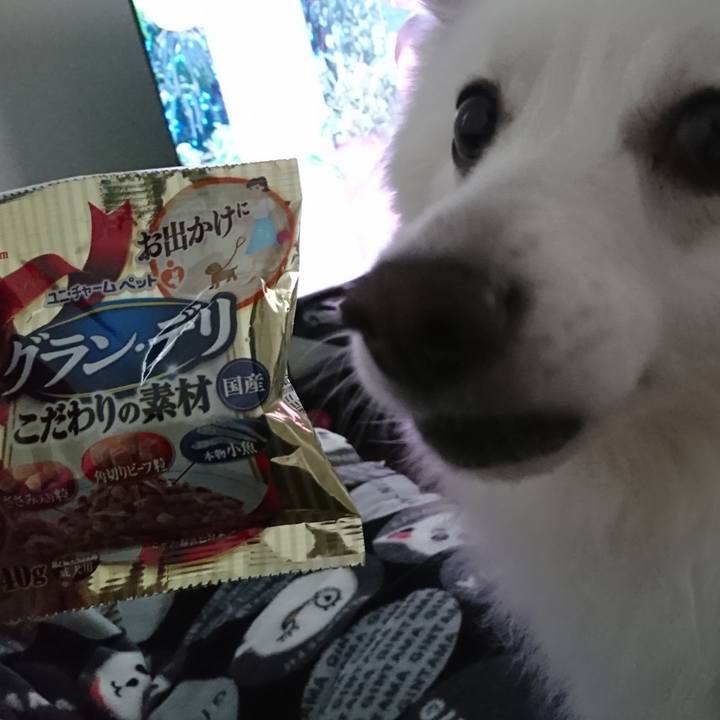 0f6f71ab dd2c 4375 9ff6 a813a6c5c003 1560225608424