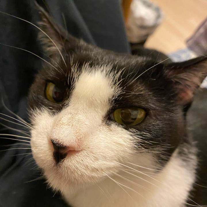 0f6f880f 7cc0 40ca 8659 0e7432b7c72d 1749899279439