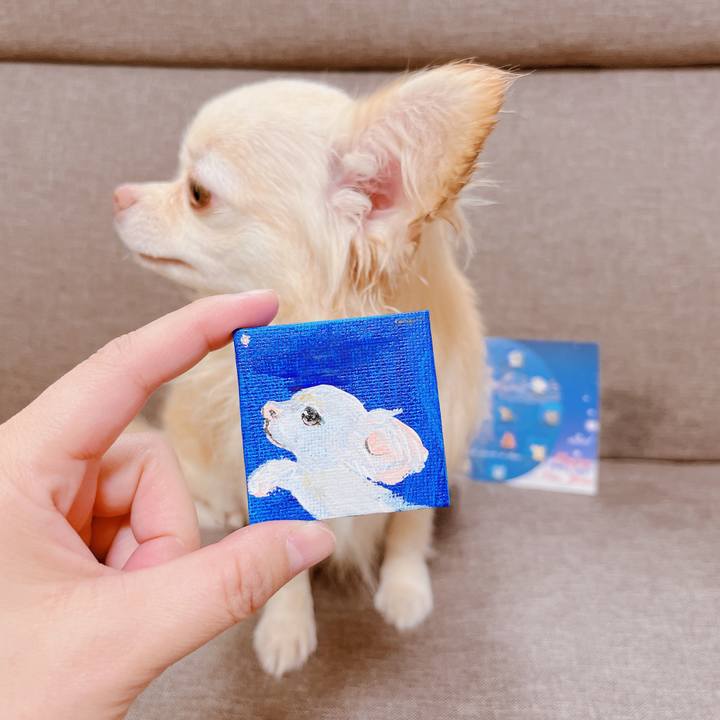 0f6f9f4a 866a 40a8 8b2f 3dcadf55763c 1672130232739