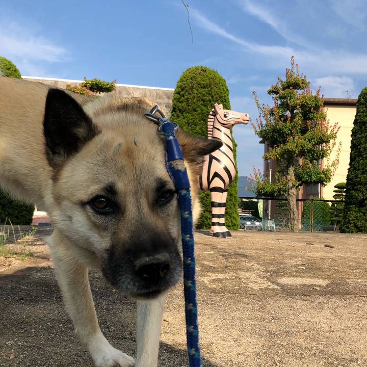 0f6faef4 7f86 4ee7 b091 7ed0ac4789be 1528536813816