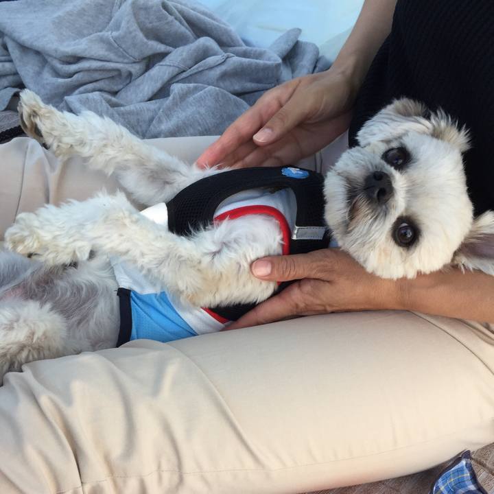 0f6fc621 d423 49cc b388 897856402b30 1526899962321