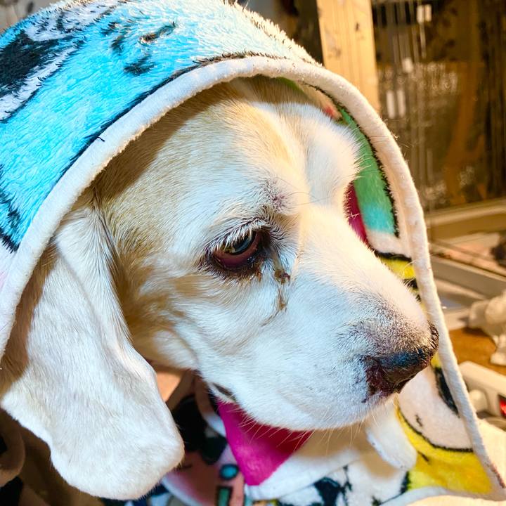 0f6fdf4c d059 4faa a577 bc7bb3730f8b 1668608929806