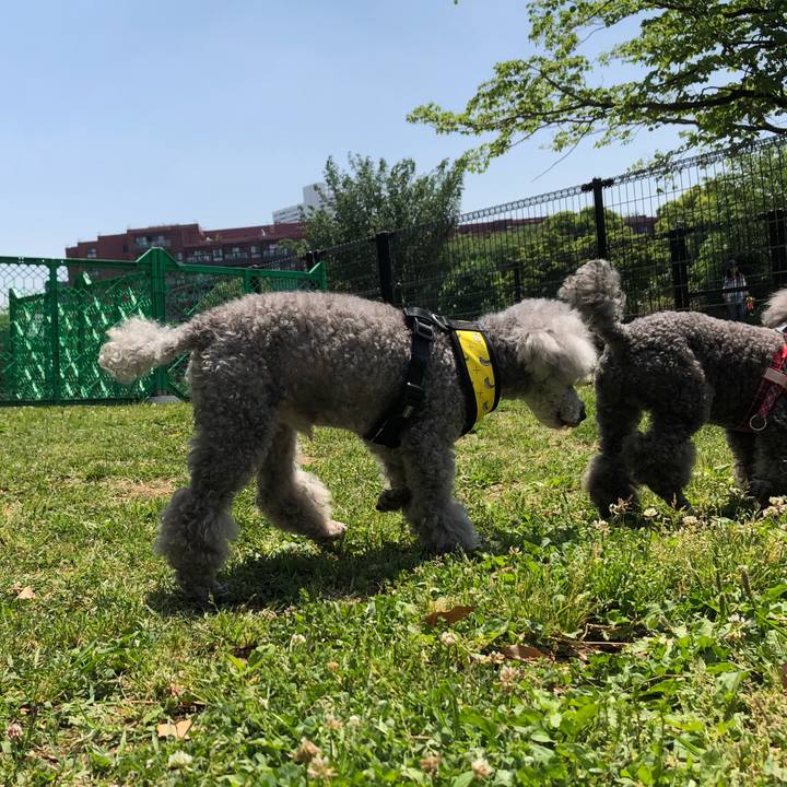 0f701071 4d16 4d38 b2c9 bf2b56f1f1dc 1525263237535