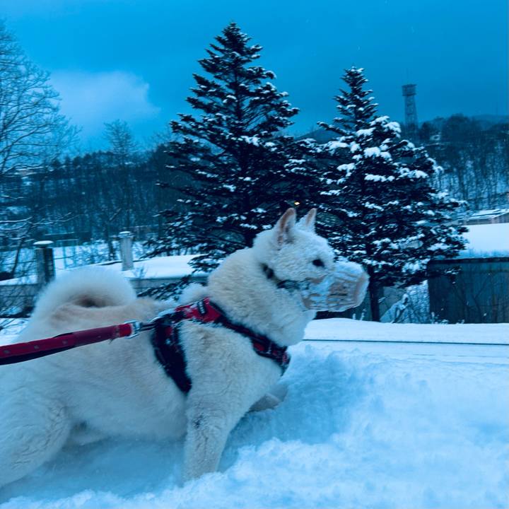 0f701780 c05b 48a5 9fe3 7e7eca99bed8 1767479614336