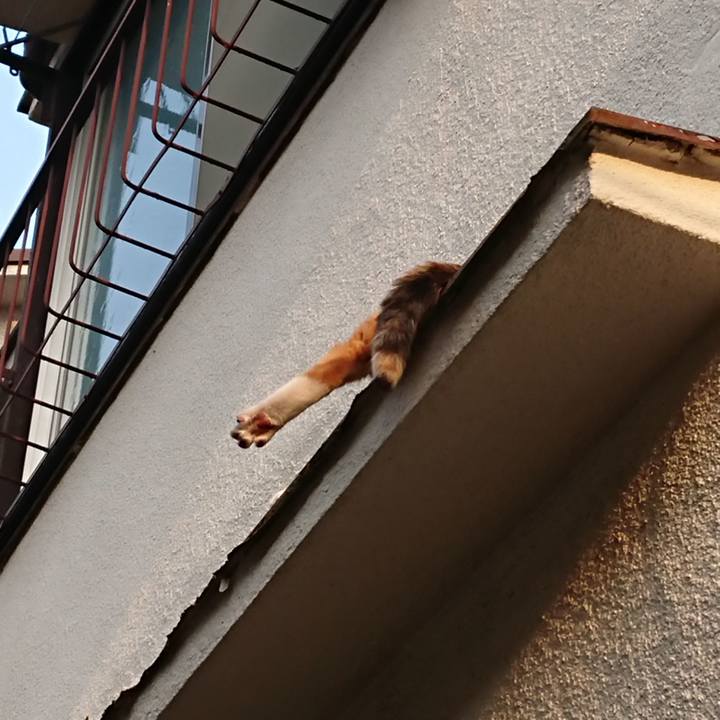 0f704c5b 601e 43de 970c 51dbd5f01496 1623140206709