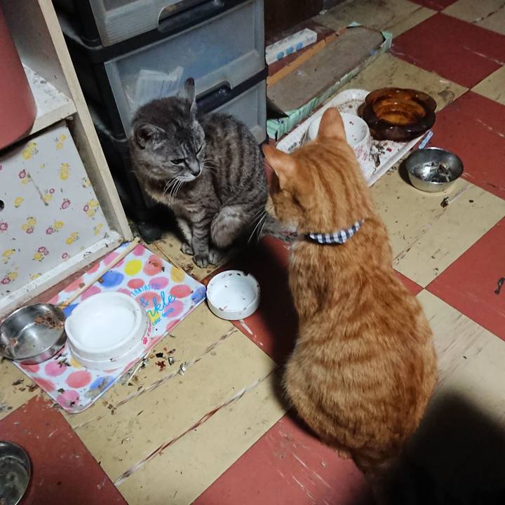 0f7066ba b47e 4076 be2e 72aad62c9811 1568663451624