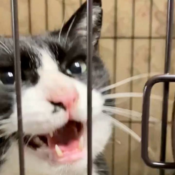 0f70c846 90ec 4238 bf32 67e54d5a1d0b 1743846798491