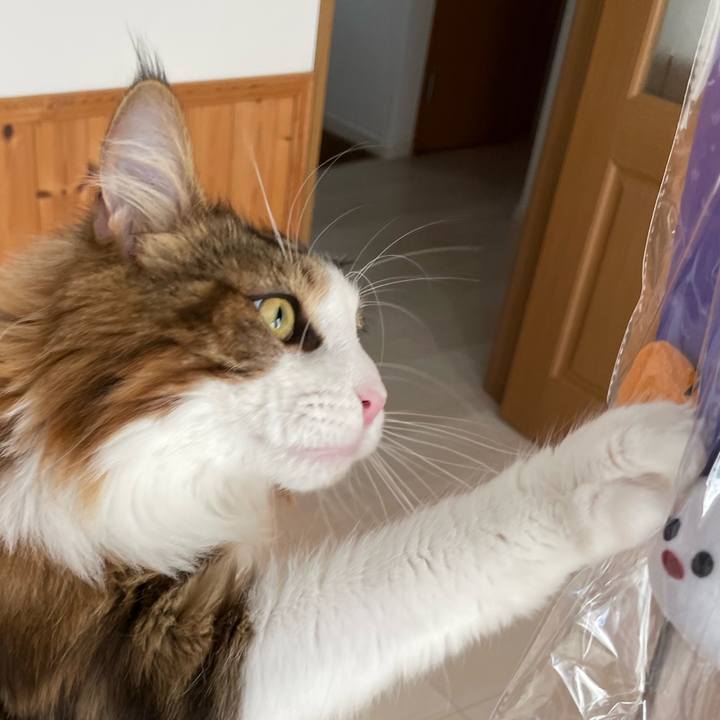 0f70dcf4 4208 42cb be50 58512c899c0b 1664668811083