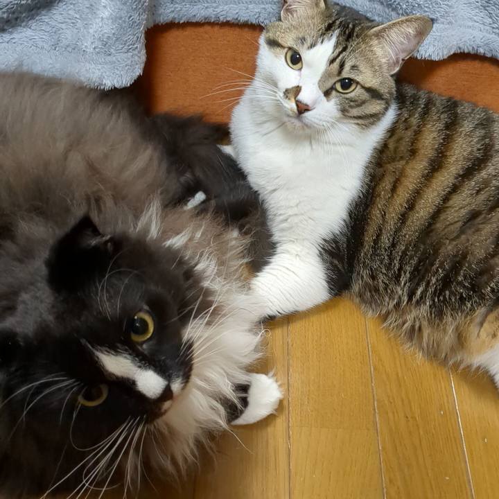 0f70dd8a 6b32 459b 9c54 47ab28ef5aac 1670209601623