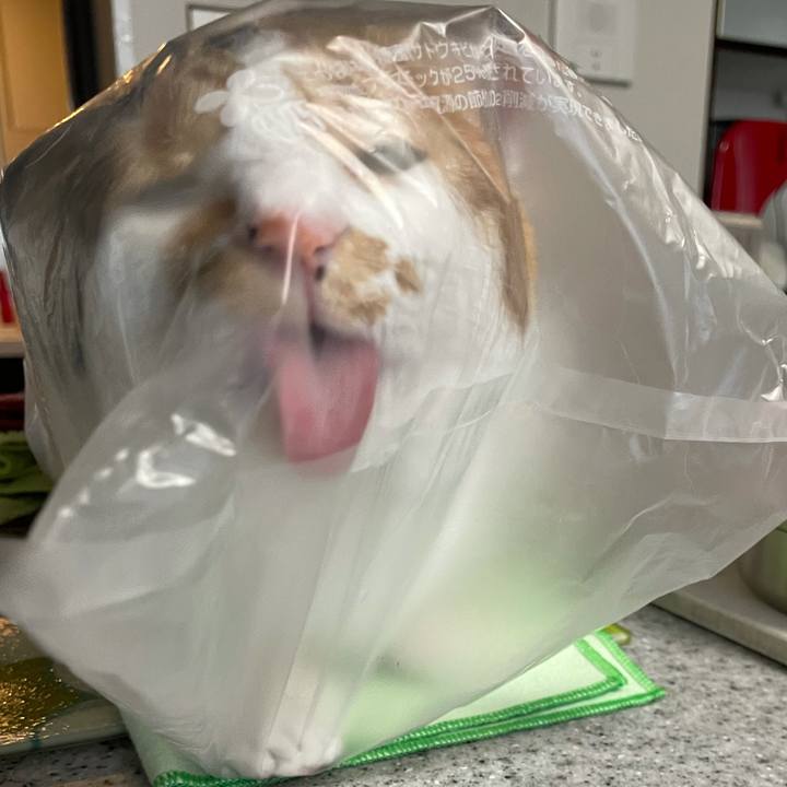 0f70e0ed 9035 43cc 9cf9 7da7edad73dc 1605828918759