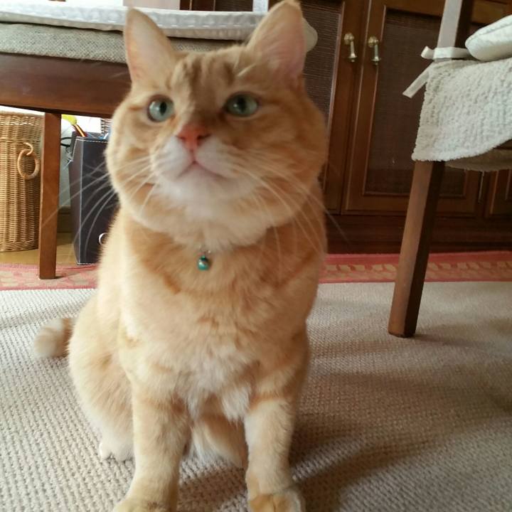 0f70e737 f275 4f54 bf1c 07401c909b1d 1519167999764