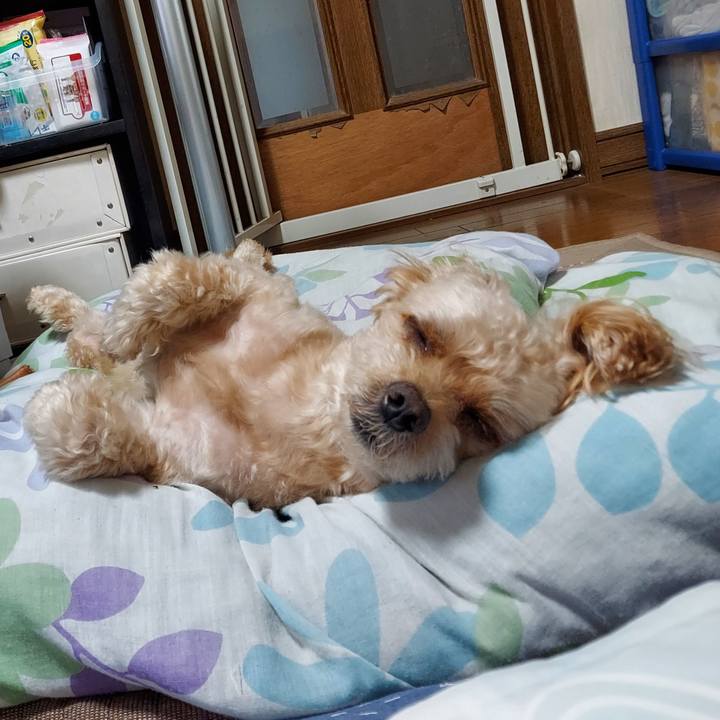 0f70ecf2 b02d 4b7a a42e 30bec7f62512 1692758935809