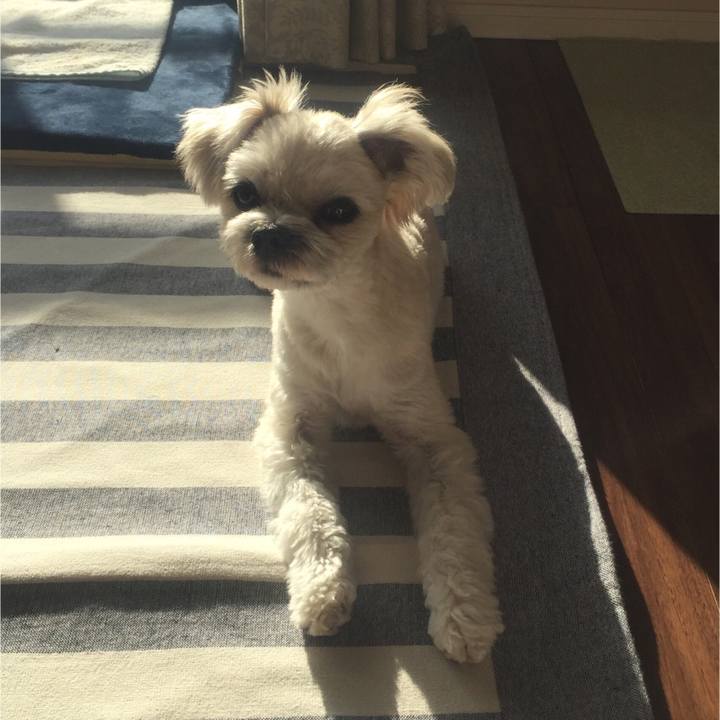 0f710921 be5e 4962 93be dc55fafa9518 1517394841151