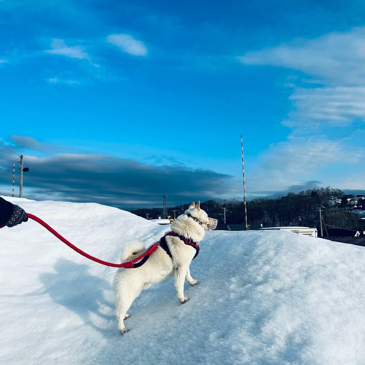 0f710fae 579a 4c5d 808c eaf23c67f42e 1711234433776