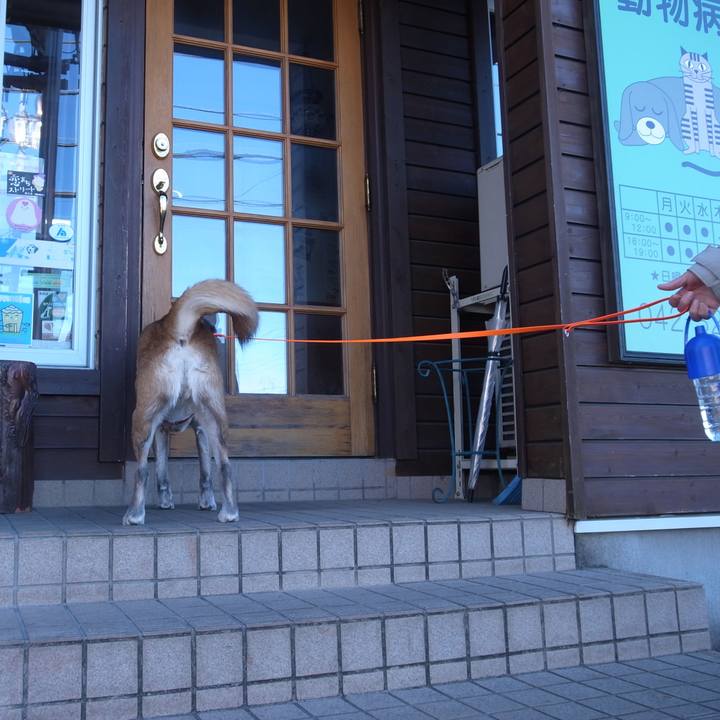 0f714064 6625 426d b9d3 a88054656b61 1597474728757