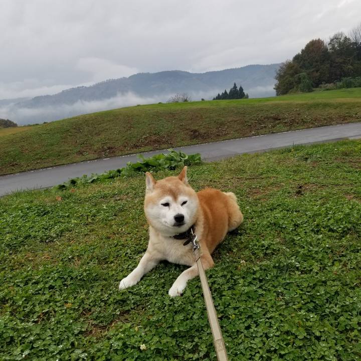 0f71589f 953f 4d10 a98d 17266c19c659 1699592677309