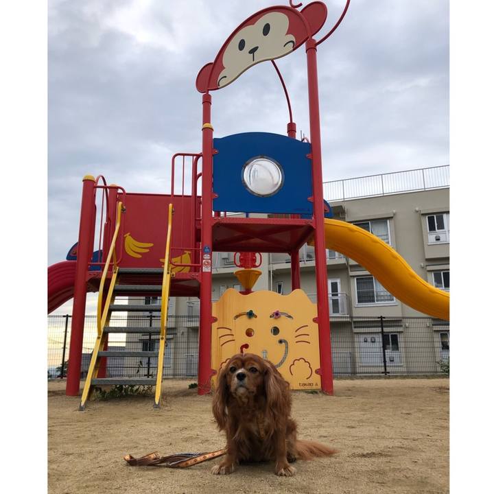 0f716bb5 f8eb 4a18 8506 995c9d41fa12 1636851040306