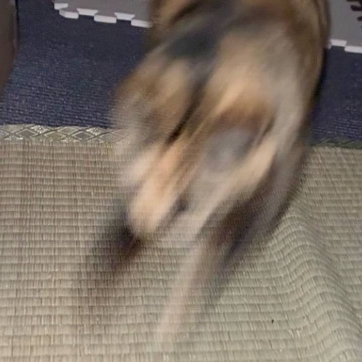 0f7170be 3ef8 488b 9709 9919ee385e38 1769633431007