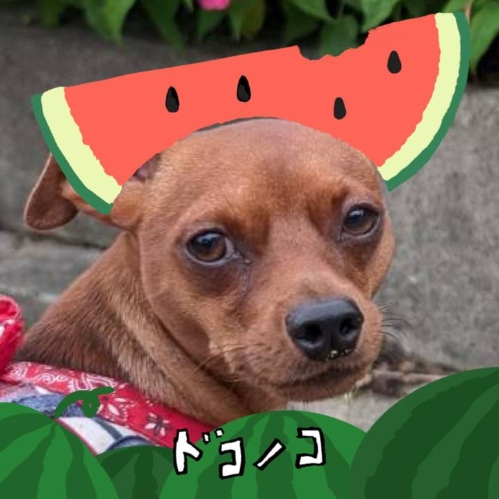 0f717523 0420 4adb a23c 2c486dd3c752 1720938333383