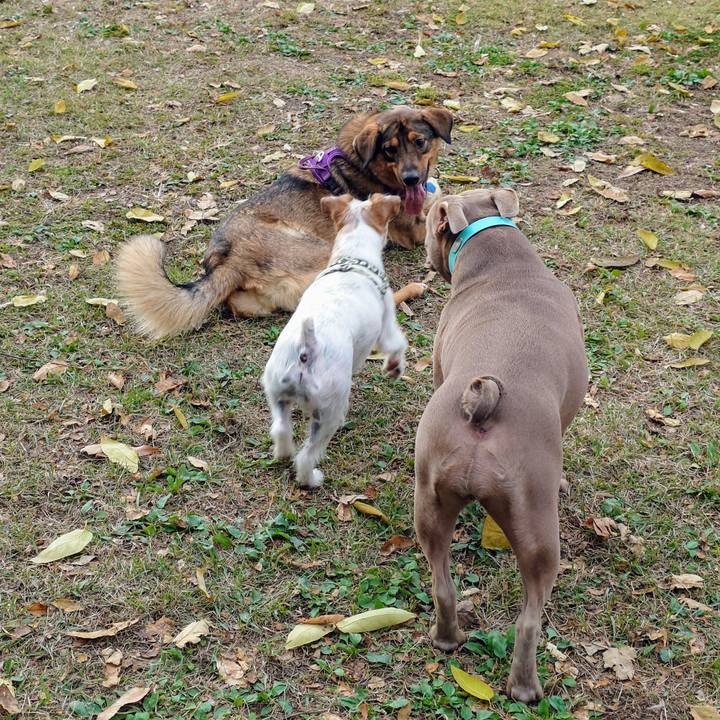 0f71a922 8b60 44ae a999 c050c310b0bd 1731805271262