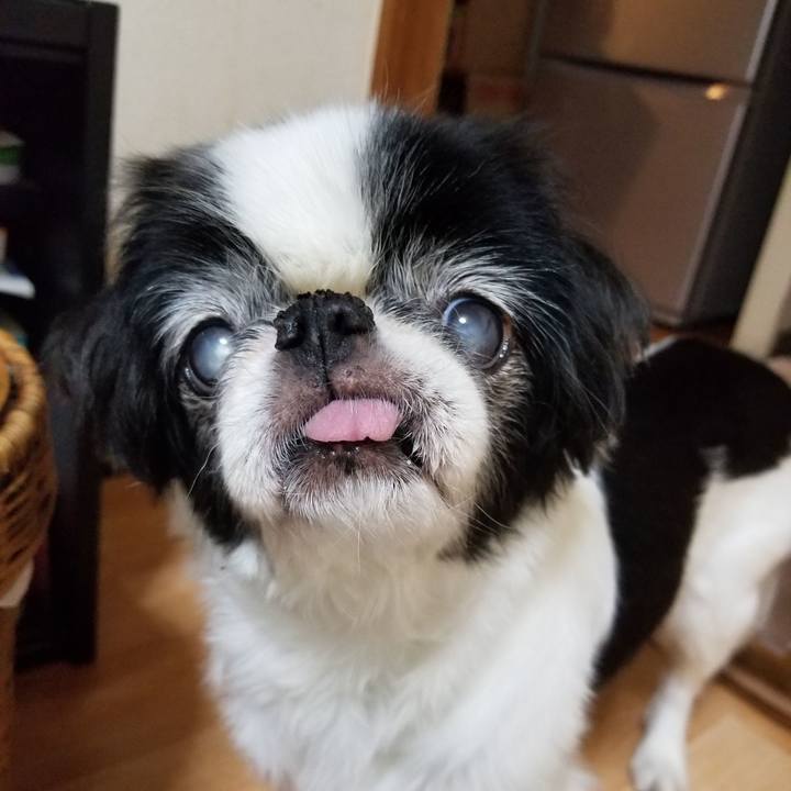 0f71b6f4 9ebf 4cc0 aecd 605dbaaddbfc 1602409354843