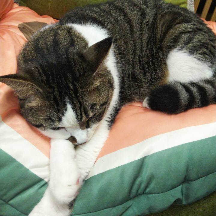 0f71b7dc 78be 4d44 bd8c dd6f219e2060 1660529088975