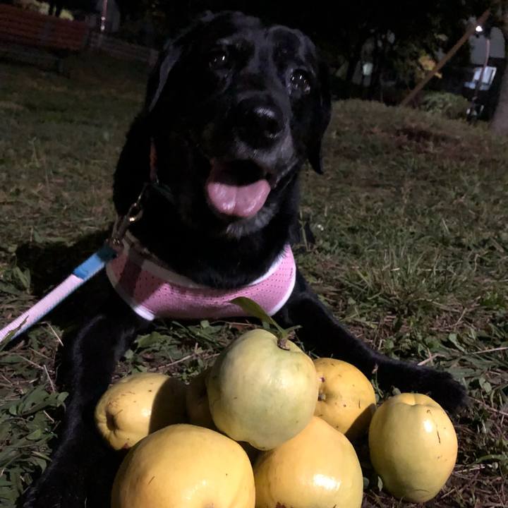 0f71dbdb 46e1 4c3b 8f2f f5a7d353f3ef 1540554894917