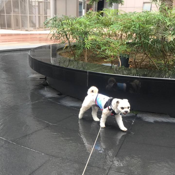 0f723141 2e95 44af aff4 7c8cc5ebcad7 1529582299014