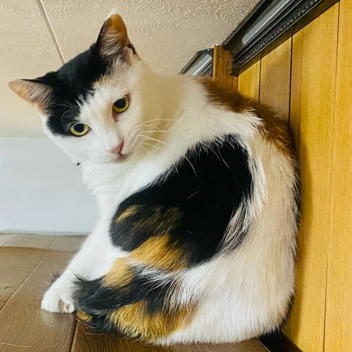 0f72623c 4f60 4684 bc78 6d5f6f011326 1657720642953