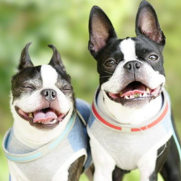 0f7274bb c62e 4e37 b68c d482ca7236a6 1536812521961