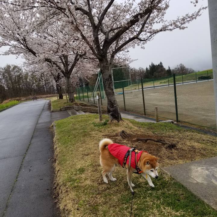 0f7279f3 4c09 4740 b62d 38ace5b14633 1617947756864