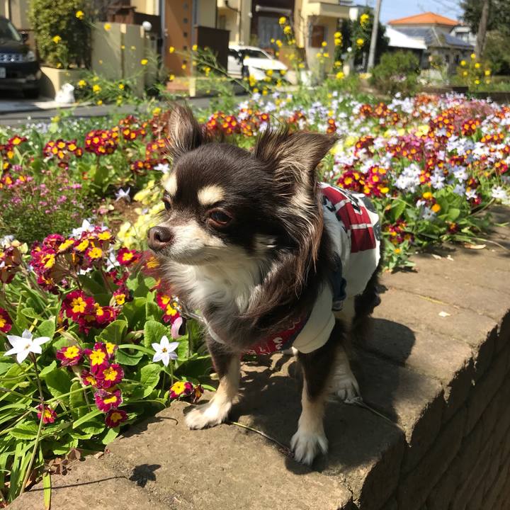 0f7299b0 a31d 4ab4 87d1 ab596be54f73 1585883527024