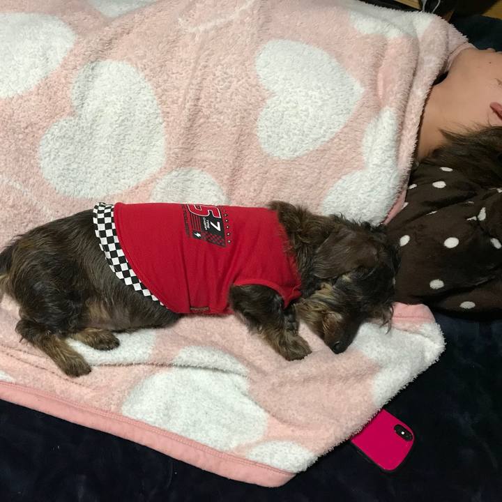 0f729d86 3780 4b36 87a2 ebec10f7517b 1556547854087