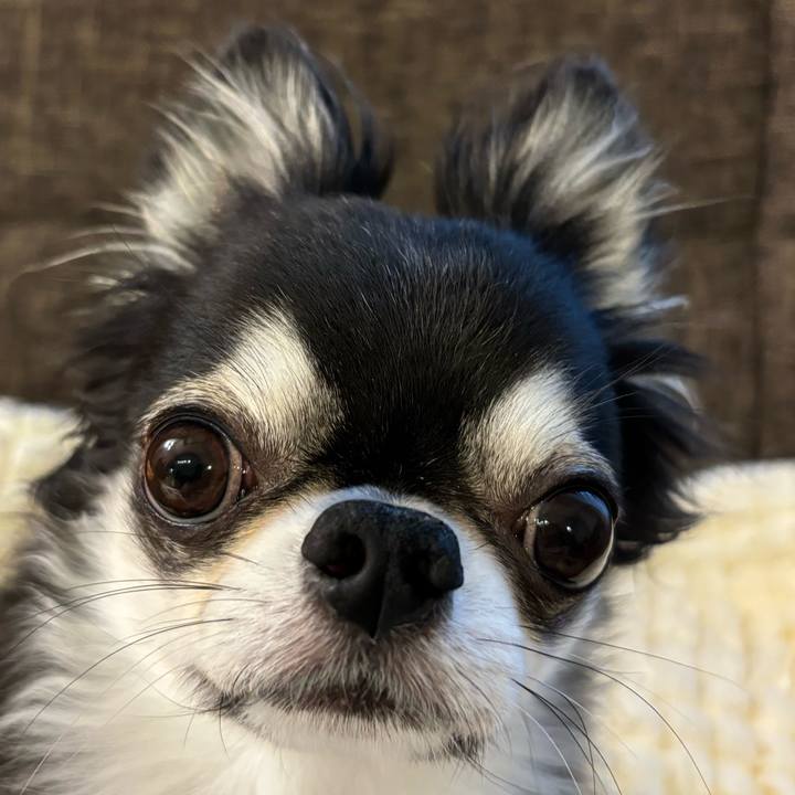 0f72ddb5 8a69 4c1e 984d 5cdc381baa8a 1728083414418