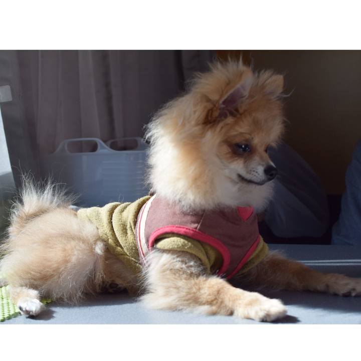 0f72e9b8 1b86 47ce 9905 91472c378d49 1521118021990