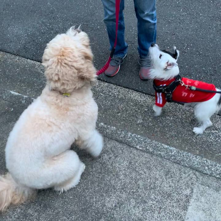 0f72ee7a ec7e 4d19 9f04 ce76cfca0f95 1669794427092