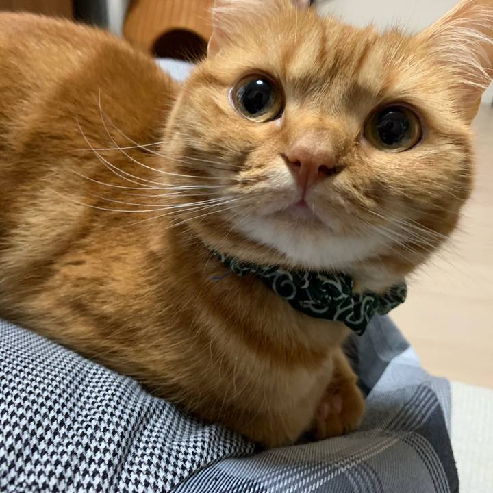 0f72f2c3 7086 460c a077 7f5da17941cc 1561792961974