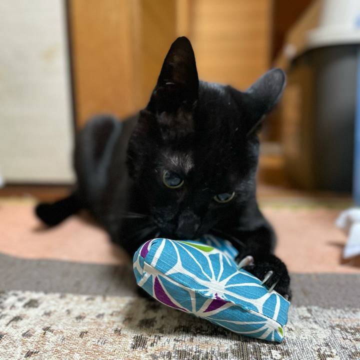 0f733d58 dae1 4b8f a912 1273f628f021 1620006527329