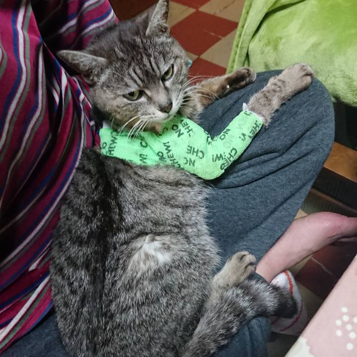 0f734ca2 c39a 4cfe 9c41 672c29dc6d3b 1587119857660