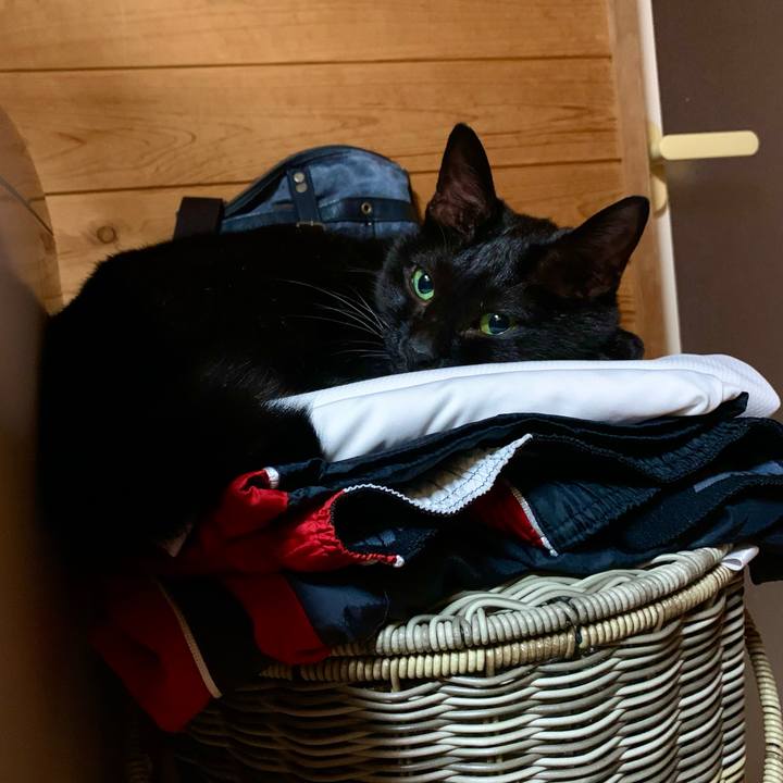 0f739da1 5b3c 42cf 86f1 e4f311588cbd 1632575580746