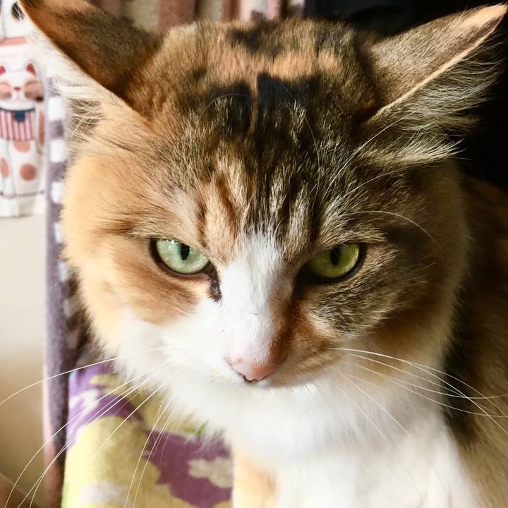 0f73a0cd d466 48c4 8dc5 bedef0721de6 1555451334040