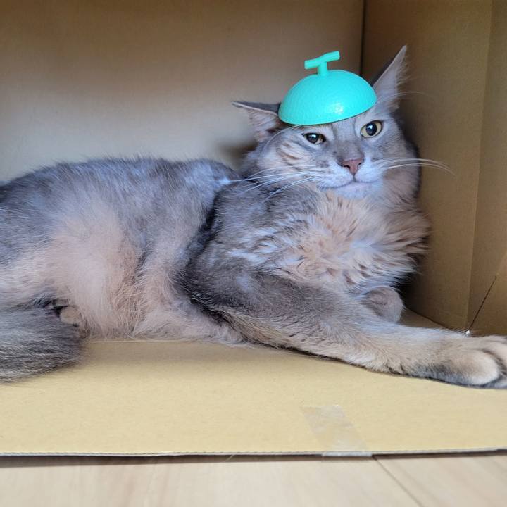 0f73e7cd 66eb 40ae a932 f27cabf1f9a0 1662437278983