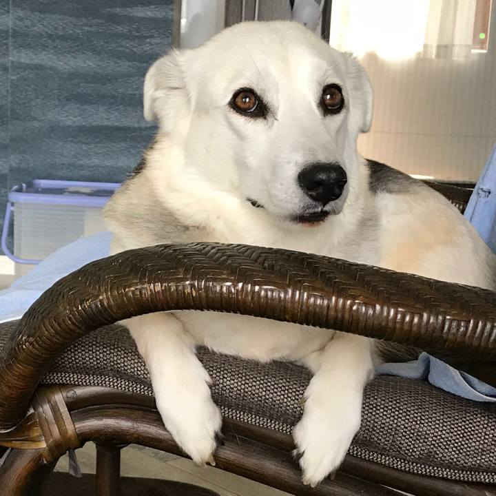 0f7409c3 e2be 4f9b b2de e865a60233ec 1620550226166