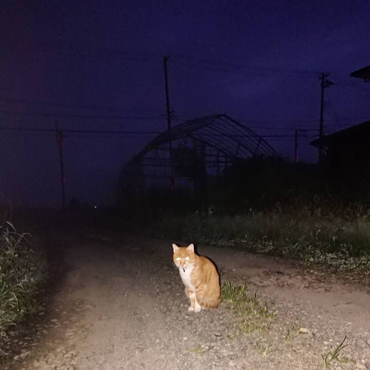 0f741949 13c9 4332 bfe3 306962c04dab 1600285808555