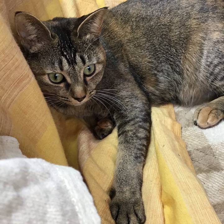 0f74823d 00d0 4668 8dfe 94d06a213618 1611540194092