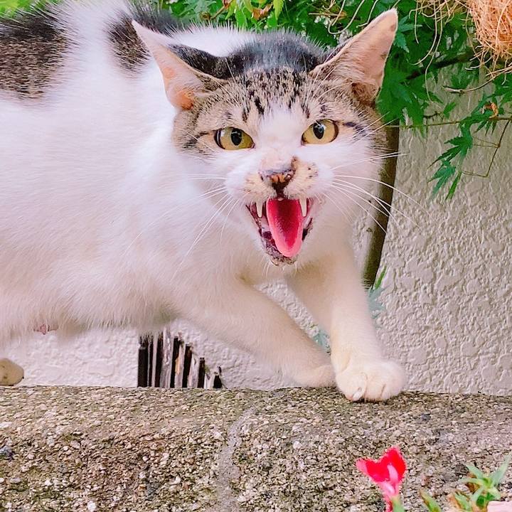 0f74930d 3d06 40aa 9f58 a706e9839f49 1628424101683