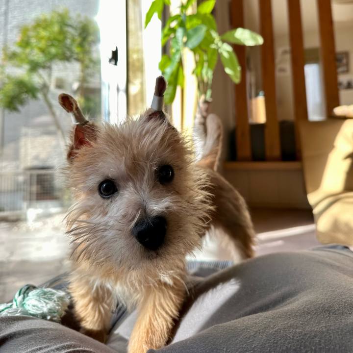 0f74cd87 a47c 4d22 aa78 a94f6f965b7f 1705538615412