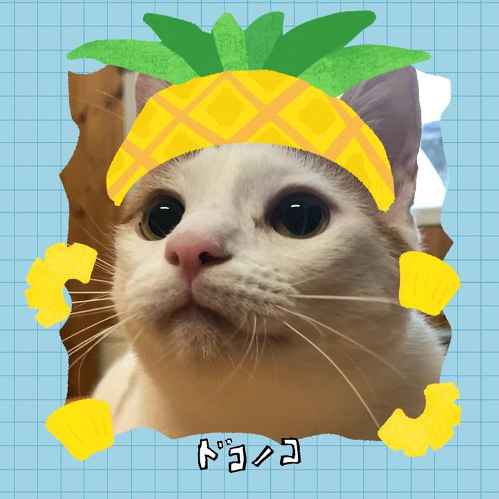 0f74eac0 f3da 418c b70b 95cbb007676e 1783307857235