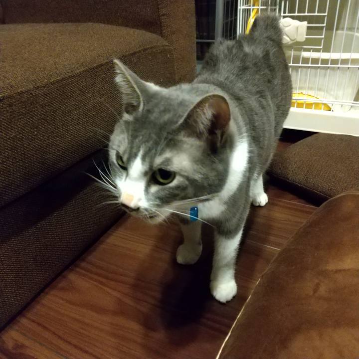 0f74ffdc cc99 40ed 89c5 79d7211e1c5a 1611312057028