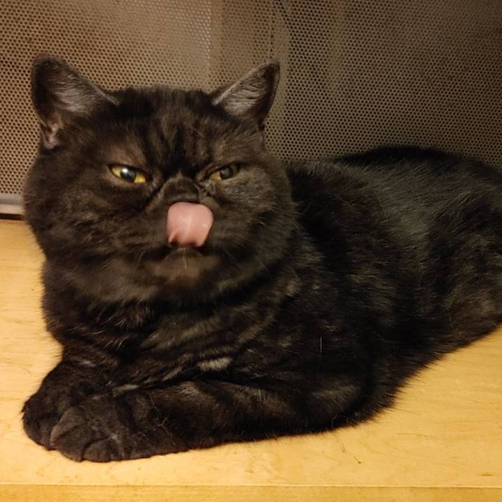 0f751d44 c8a7 42aa 82c3 9fffd47102c7 1623496950168